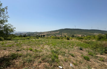 Integrated Rural Estate with Heritage Buildings-5