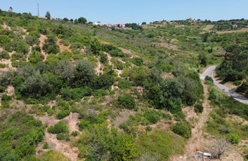 Integrated Rural Estate with Heritage Buildings-4